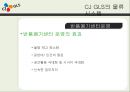 CJ GLS의 물류시스템과 물류혁신 ppt 33페이지