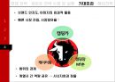 BLACKYAK (블랙야크) 경영전략분석 및 핵심역량, SWOT분석과 블랙야크 새로운 전략제안.pptx 29페이지