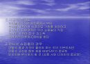 쇼핑몰 운영전략 3페이지