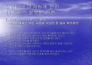 쇼핑몰 운영전략 8페이지