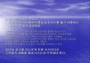 쇼핑몰 운영전략 9페이지