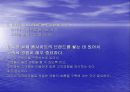쇼핑몰 운영전략 12페이지