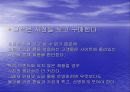 쇼핑몰 운영전략 37페이지