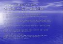 쇼핑몰 운영전략 46페이지