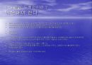 쇼핑몰 운영전략 52페이지