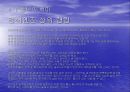 쇼핑몰 운영전략 60페이지