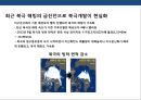 북극 개발의 기회와 대응.pptx 3페이지