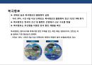 북극 개발의 기회와 대응.pptx 8페이지