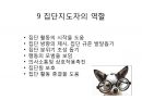 집단상담 인도자용 지침서(집단상담 인도자 따라하기)ppt 54페이지