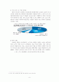 애플(Apple) vs 삼성전자 글로벌 경영전략 비교분석과 두기업의 특허전쟁 사례분석 및 애플,삼성전자의 미래전략전망 8페이지
