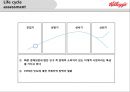 켈로그의 글로벌 경영 성공 및 실패사례 ppt 17페이지