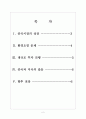 [태양광 산업] 태양광 시장의 성장과 발전방향 보고서(중국시장의 성장, 환경오염 문제, 대규모 투자 진행, 중국과 미국의 갈등, 향후 전망) 2페이지