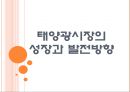 [태양광 산업] 태양광 시장의 성장과 발전방향(중국시장의 성장, 환경오염 문제, 대규모 투자 진행, 중국과 미국의 갈등, 향후 전망).PPT 1페이지