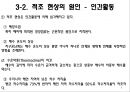 적조 현상에 대해 쓴 리포트입니다. 6페이지