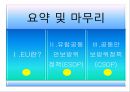 EU의 군사 동향 13페이지