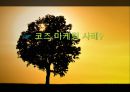 미국과 한국기업의 코즈 마케팅(Cause marketing) 사례.ppt
 11페이지