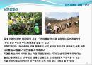 미국과 한국기업의 코즈 마케팅(Cause marketing) 사례.ppt
 15페이지