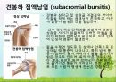 OS 진단명,정형외과 컨퍼런스 6페이지