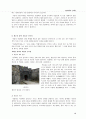 수원화성(水原華城)의 근대성 13페이지