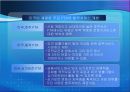 법무서비스 개방 전면개방이냐 부분개방이냐 우리의 선택은... 17페이지