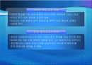 법무서비스 개방 전면개방이냐 부분개방이냐 우리의 선택은... 28페이지