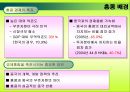 홍콩과 중국의 경제통합에 관한 연구  4페이지