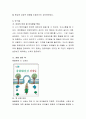 아동의 연령별 언어발달 특성에 따라 적합한 책의 특성을 기술하고 언어발달과 문학 경험과의 관계를 작성. 4페이지