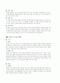 개별화 지도 모형 4페이지