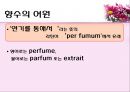 향수의 기원, 프랑스 향수의 발달, 프랑스 향수의 현재, 향수 이야기, 프랑스 향수 4페이지