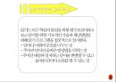 [유아교육과정]디스타 프로그램 - 디스타 프로그램의 배경과 현황, 디스타 프로그램의 교육의 목적과 내용 및 교사의 역할, 디스타 프로그램의 평가 14페이지