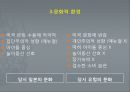 도쿄 디즈니랜드와 유로 디즈니랜드의 비교분석 23페이지