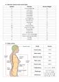 1-1-1 의약학용어(MEDICAL TERMINOLOGY) Fundamental word structure, The organization of the body (Digestive System, Respiratory System) 5페이지