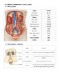 1-1-2 의약학용어(MEDICAL TERMINOLOGY) (Cardiovascular System, Urinary System, Nervous System, Skeletal System, Combining forms, Prefixes and Terminology) 4페이지
