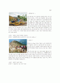 강원랜드(Kangwon Land) (강원랜드의 특징, 강원랜드 카지노, 강원랜드 하이원스키, 강원랜드의 비전) 17페이지