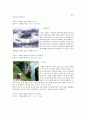 강원랜드(Kangwon Land) (강원랜드의 특징, 강원랜드 카지노, 강원랜드 하이원스키, 강원랜드의 비전) 19페이지