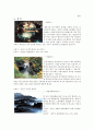 강원랜드(Kangwon Land) (강원랜드의 특징, 강원랜드 카지노, 강원랜드 하이원스키, 강원랜드의 비전) 23페이지