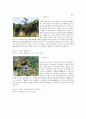 강원랜드(Kangwon Land) (강원랜드의 특징, 강원랜드 카지노, 강원랜드 하이원스키, 강원랜드의 비전) 24페이지