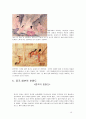 춘화도(春畫圖)의 정의 9페이지