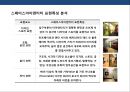 공간을 활용한 브랜드 전략과 건물 사례[Space identity marketing].pptx 24페이지