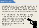 병행수입의 문제점과 개선방안 4페이지