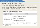 병행수입의 문제점과 개선방안 14페이지