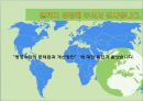 병행수입의 문제점과 개선방안 32페이지