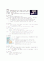 남성과 여성의 피임법 4페이지