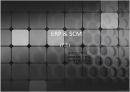 ERP와 SCM의 관계 - ERP & SCM.pptx 1페이지