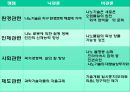 나노 기술을 둘러싼 사회적 쟁점 연구 25페이지