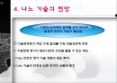 나노 기술을 둘러싼 사회적 쟁점 연구 30페이지