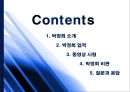 박정희의 경제발전과 부정적인 점 2페이지