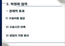 박정희의 경제발전과 부정적인 점 8페이지
