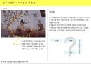 한국미술사  벽화로 시작된 고구려 회화! / 안악3호분, 덕흥리고분벽화, 각저총, 무용총, 쌍영총, 진파리1호분,강서대묘 10페이지