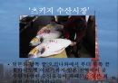 새로운도전,국제관광(나만의공정여행/95점)  14페이지
